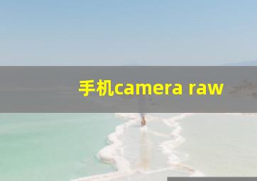 手机camera raw